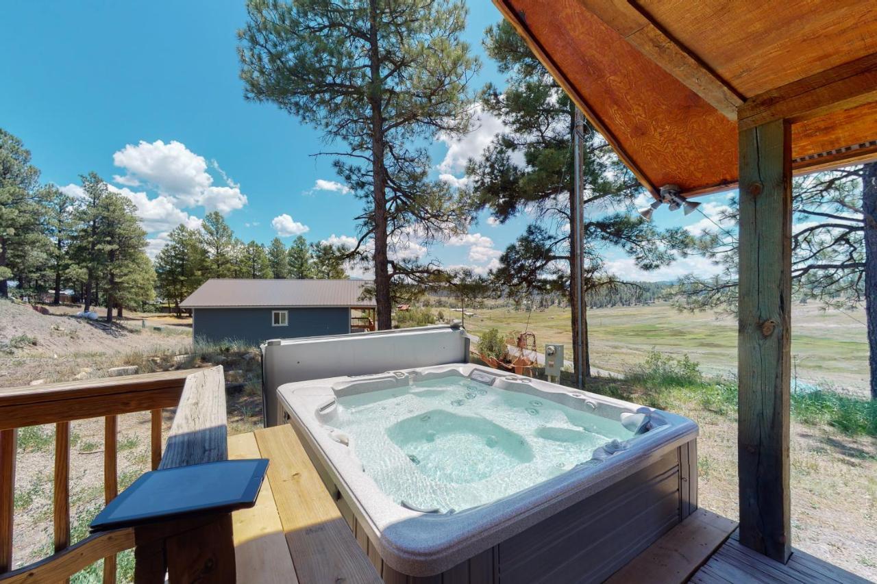 Split Pine Cabin Pagosa Springs Exterior photo